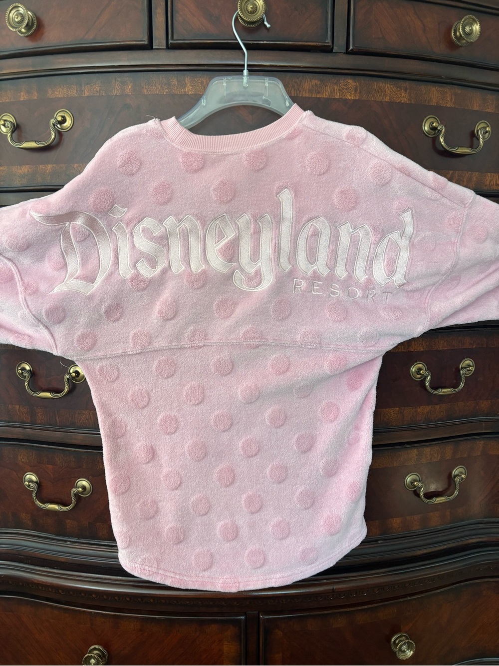 Disneyland Piglet Pink Spirit Jersey size XS